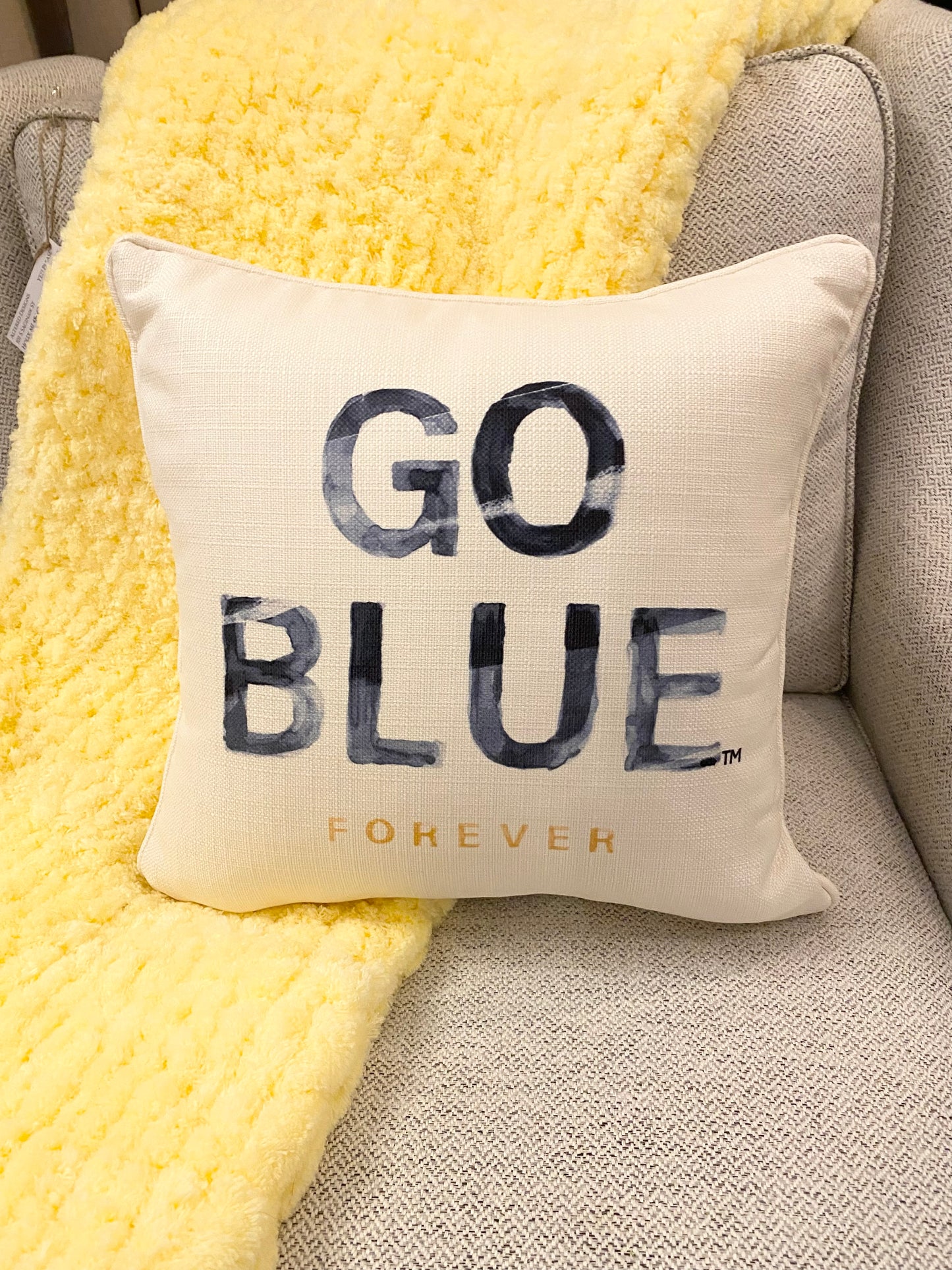 U of M Pillows